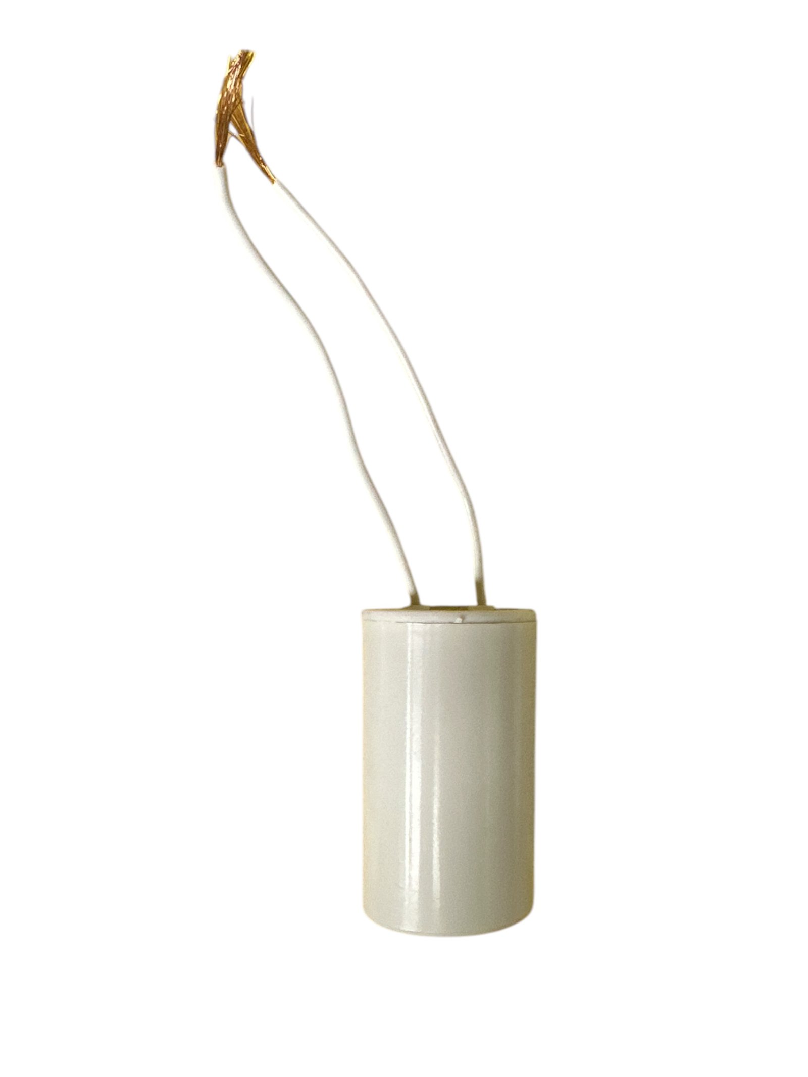 Capacitor de Marcha Pegasus - 460